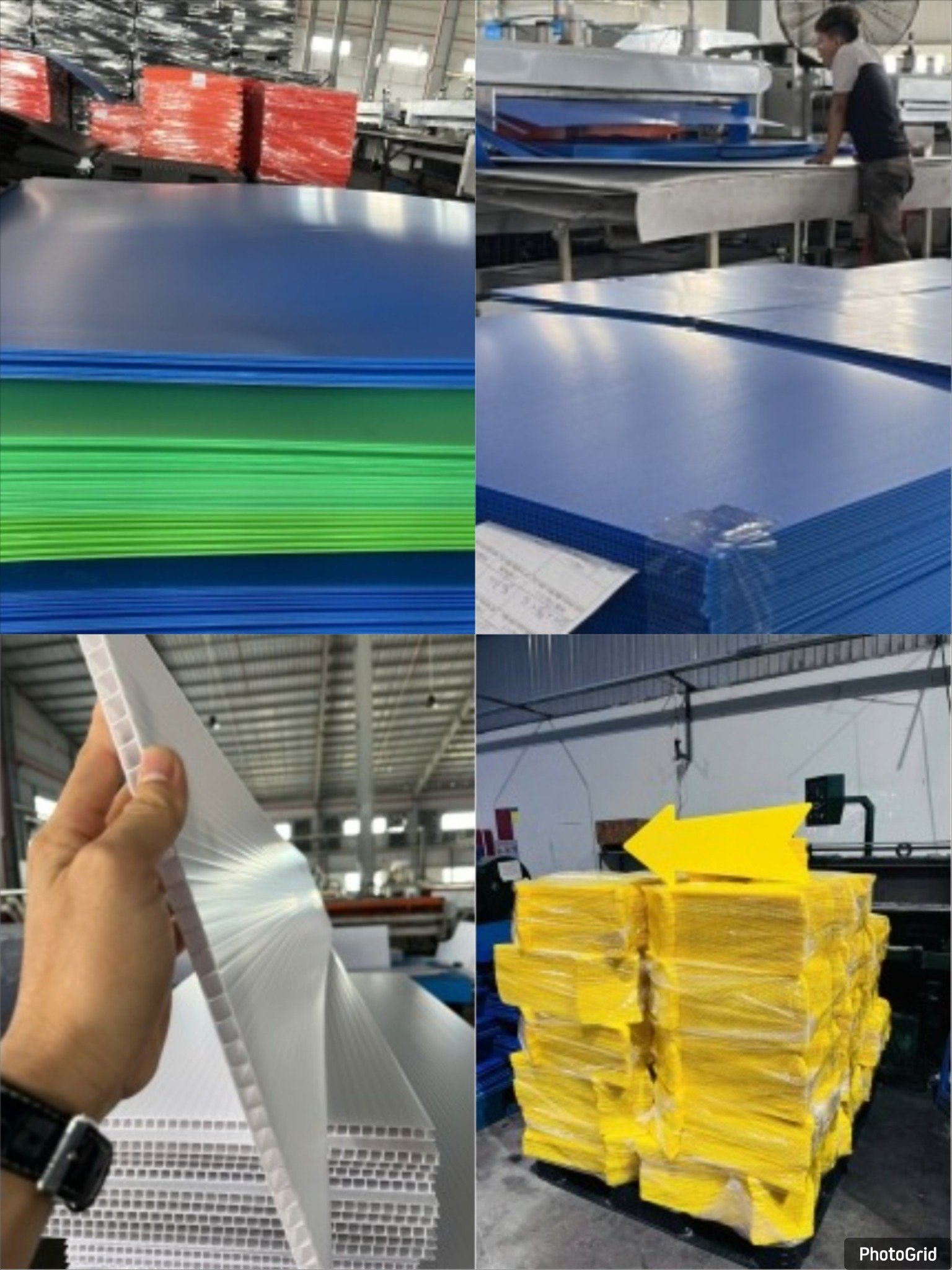 Standard PP Corrugated Hollow Danpla Sheet